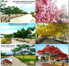 Follow paths from the tranquil garden of peace, through the colourful little springs children's area. Haven Of Peace Memorial Garden Home Facebook