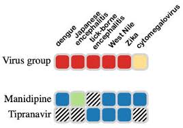 Image result for Tipranavir