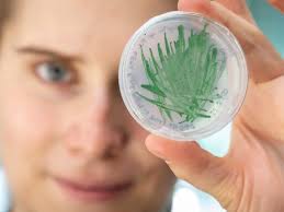 Falecimento do Professor Bernardo Manuel Teles de Sousa Pacheco de Carvalho 