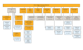 Cvm Organizational Chart