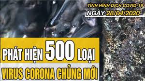 Đây bác này cũng confirm luôn. Tin Tá»©c Dá»‹ch Covid 19 Má»›i Nháº¥t Hom Nay 28 4 2020 Cáº­p Nháº­t Virus