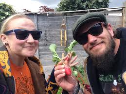 Growing radish in fall garden