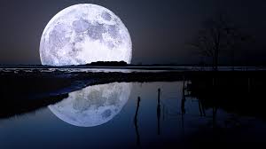 Flowers to mark all occasions, mothers day, birthday's & valentine flowers. Beautiful Moon Napkinwriter