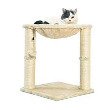 We did not find results for: Top 10 Go Pet Club Cat Tree Replacement Parts Of 2021 Best Reviews Guide