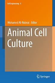 Animal cell culture in english. Amazon Animal Cell Culture Cell Engineering Book 9 English Edition Kindle Edition By Al Rubeai Mohamed Biological Sciences Kindleã‚¹ãƒˆã‚¢