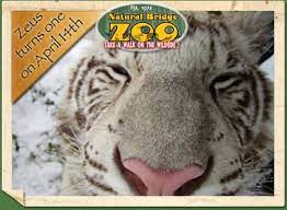 Virginia The Natural Bridge Zoo Park Is Home To The Most Complete Collection Of Animals And Birds In T Fun Places To Go Natural Bridge Virginia Is For Lovers