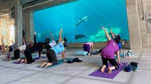 Maybe you would like to learn more about one of these? Outdoor Yoga In Tampa Bay