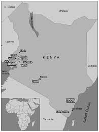 Insects Free Full Text Sylvatic Mosquito Diversity In Kenya Considering Enzootic Ecology Of Arboviruses In An Era Of Deforestation Html