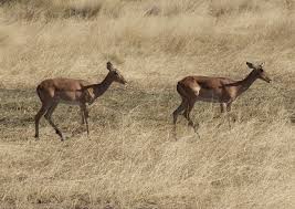 file_2554x1807_075370