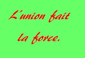 Lunion Fait La Force On Est Plus Forts A Plusieurs Que Tout Seul Pendant Cinq Ans Jai Demande A La Mairie Damenager Les Trottoirs Aux Pas Arabic Calligraphy