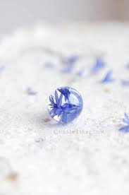 Cornflower Blue Necklace Real Flower Jewelry Wildflower Christmas Gift Ideas Diy Wedding Flowers Wedding Flowers Flower Bouquet Wedding