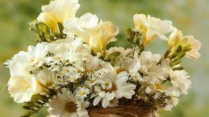Big Wallpapers Hd Desktop Backgrounds Images And Pictures Wallpapers in ultra hd 4k 3840x2160, 8k 7680x4320 and 1920x1080 high definition resolutions.