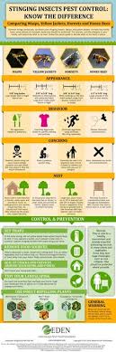 Visit our website or call us today for a free quote. 47 Pest Ideas Pests Pest Control Termite Control