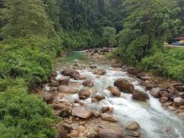 Beberapa kemudahan disediakan seperti chalet, tapak details : O Xrhsths Pakejbercutimakjah Sto Twitter Dikatakan Antara Air Terjun Tercantik Di Terengganu Lata Payung Terletak Di Hutan Lipur Lata Payung Di Daerah Setiu Sempadan Besut Terengganu Foto Fb Suz Fashionhouse Https T Co Tv70juawim