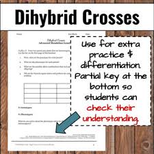 Worksheets are dihybrid cross work answer work monohybrid crosses punnett squares dihybrid crosses practice with monohybrid punnett squares punnett squares answer key genetics work amoeba sisters video recap monohybrid crosses mendelian dihybrid cross name. Dihybrid Cross How To And Practice Problems Distance Learning Tpt