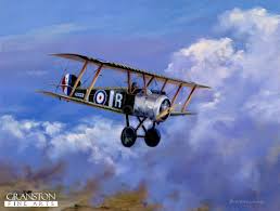 'albatros aces of world war i' and 'nieuport. Sopwith Camel Ww1 Aviation Prints