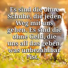 Was Haustiere Uber Uns Verraten Und Wie Sie Auf Unsere Gesundheit Wirken Spruche Weisheiten Spruche Furs Leben