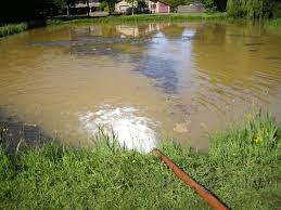 The quicker you act, the less time your pond's ecosystem will have to fall apart. What To Do When Your Pond Water Turns Brown Fitz S Fish Ponds