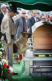 Officer Jason Ellis Was Tragically Killed During An Ambush On Saturday During His Funeral All Of His Fellow Officers Familie Military Dogs Dog Hero War Dogs