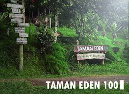 Taman Eden 100