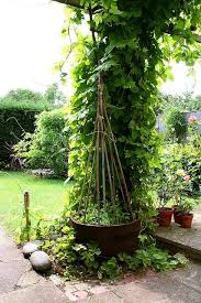 Check out our peas garden stake selection for the very best in unique or custom, handmade pieces from our shops. Sweet Pea And Hops Pea Trellis Bamboo Trellis Plants