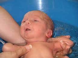 Våra kommande tvillingar!