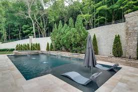 Modern Style Pool In Spacious Backyard Features A Tanning Ledge With Modern Gray Pool Loungers Backyard Pool Landscaping Backyard Pool Designs Pool Lounger