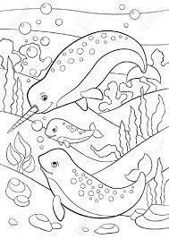 Coloriage Mere Pere Et Narvals Bebe Nager Sous L Eau Et Sourire Clip Art Libres De Droits Vecteurs Et Illustration Image 63051585