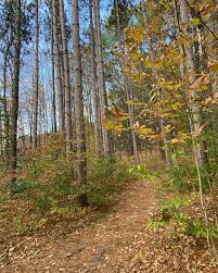 🍁🍂#woodstockvt #woodstock #vermont #fall #travel