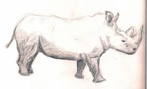 This kids drawing and coloring set will unleash your child's creativity with animal jam inspired design templates, and tons of creative accessories like stickers & stencils helps kids develop real world skills. Project Drawing Animals Sketches From Life And From Photos Carpetmoss