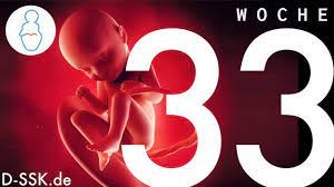 33 Ssw 33 Schwangerschaftswoche D Ssk De Youtube