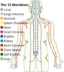 meridians in traditional chinese medicine amc miami florida