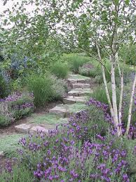 A Very Natural Look That Seems Right At Home In The Hot Dry Rocky Texas Hill Country Add A Little Bling With Car Beautiful Gardens Garden Steps Garden Paths