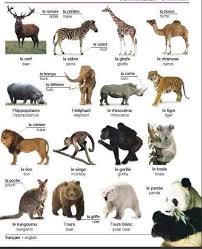 Les Parties Du Corps Des Animaux French Language Learning French Vocabulary Learn French