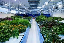 This one question can sum up all of the reasons why you must. Led Grow Lights Getting The Right Color Spectrum Garden Myths