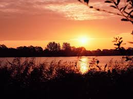 Generic astronomy calculator to calculate times for sunrise, sunset, moonrise, moonset for many cities, with daylight saving time and time zones taken in account. Sunset Safari Lower Mill Estate 31 Jul 2021