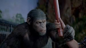 Rise Of The Planet Of The Apes' Is The First Film In Envisioned Trilogy