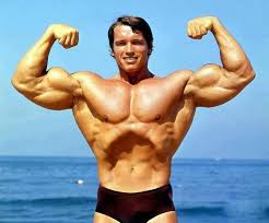 Mehr als 200.000 maschinen sofort verfügbar. Arnold Schwarzenegger Greatest Physiques