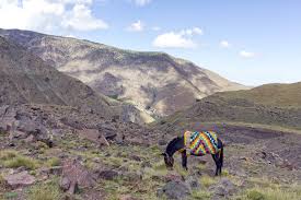 Aus wikipedia, der freien enzyklopädie. Abenteuer Atlas Gebirge Wandern In Marokko Rebeccas Welt