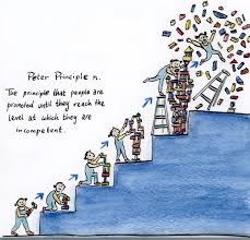 Https En Wikipedia Org Wiki Peter Principle Principles Stupid Memes English Dictionaries