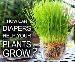 Pound the stake at least 12 inches into the ground and 4 inches from the plant. Diapers Help Your Plants Grow 6 Steps With Pictures Instructables