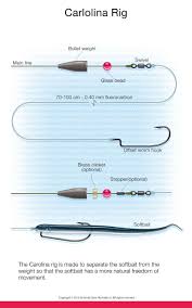 Robot Check Fishing Knots Fishing Tips Fishing Rigs