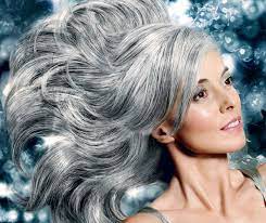 Pin On Gray Silver Hair Color
