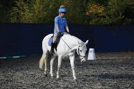 Prime video channels is the prime benefit that lets you choose your channels. Ace Free Walk Riding Advice Pony Magazine
