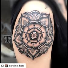 Image result for Yorkshire Rose