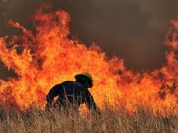 Oct 03, 2020 · argentina en llamas: Argentina Arde Once Provincias Son Afectadas Por Incendios Forestales Primera Edicion