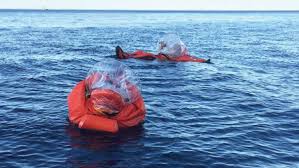 Image result for Survival Suits