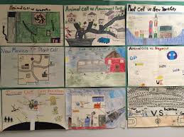 Animal cell science project by griff. Mrs Cockrum On Twitter More Great Projects Cell Analogy Poster Wilsonsouthern Wilsonsd