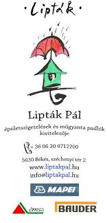 A tervem az volt, hogy a lányok és a fiúk is, a kisebbek és a nagyobbak is, sőt, a felnőttek is olvassák. Liptak Pal Szigetelestechnikai Vallalkozo Home Facebook