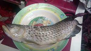This Indonesian Man Had A Pet Arowana Fish But Then His Dad Fried It For Lunch Culture